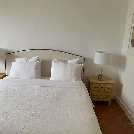 Bed & Breakfast La Maison Du Trapel - Carcassonne